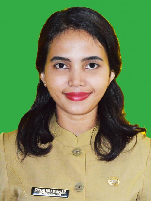 GIWANG SORA BHINA , S.IP., M.IP